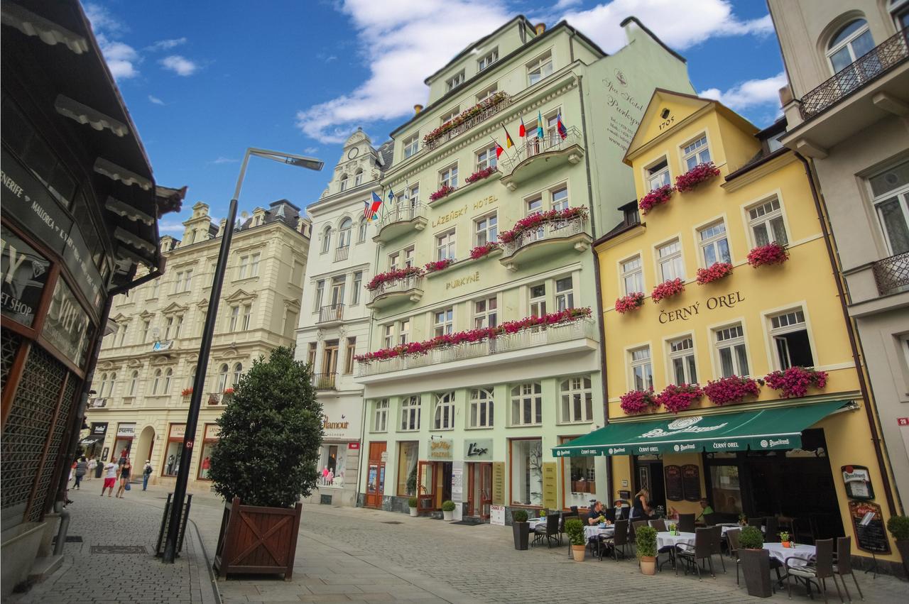 Spa Hotel Purkyne Карловы Вары Экстерьер фото
